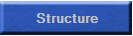 ICS Structure