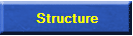 ICS Structure